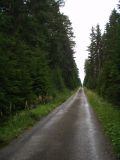 P8020010.JPG