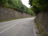 P9140066.JPG