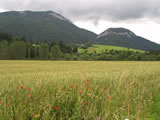 P7080143.JPG