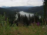 P7100202.JPG