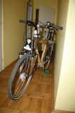 IMG_0073.jpg