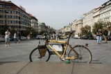 IMG_0103.jpg