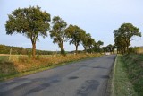 IMG_0113.jpg
