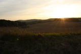 IMG_0114.jpg