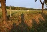 IMG_0115.jpg