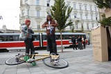 IMG_0202.jpg