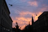 IMG_0252.jpg