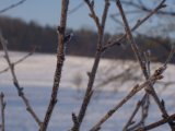 P0300051.JPG