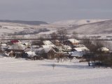 P0300076.JPG