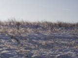 PC010166.JPG