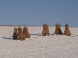 PC010168.JPG