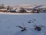 PC010176.JPG