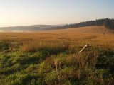 P9050050.JPG