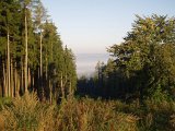 P9050057.JPG