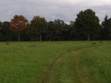 P9090201.JPG