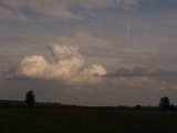 P9100221.JPG