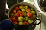 IMG_1469.JPG