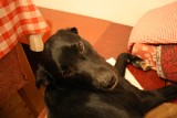 IMG_1579.JPG