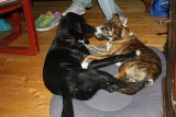 IMG_1591.JPG