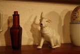 IMG_1611.JPG