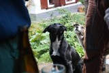IMG_1627.JPG