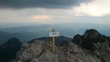 DSC_0446.jpg
