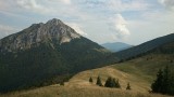 DSC_0457.jpg