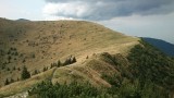 DSC_0459.jpg
