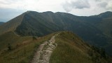 DSC_0463.jpg