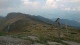 DSC_0481.jpg