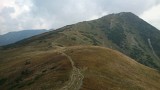 DSC_0485.jpg