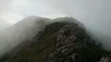 DSC_0493.jpg