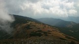 DSC_0494.jpg