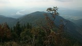 DSC_0501.jpg