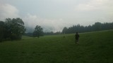 DSC_0508.jpg