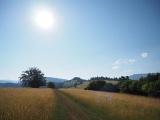 WLDF0453.JPG