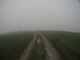 WLDF0518.JPG