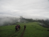 WLDF0531.JPG