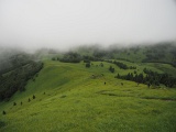 WLDF0565.JPG