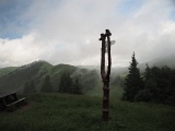 WLDF0578.JPG