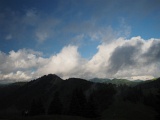 WLDF0582.JPG