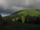 WLDF0631.JPG