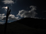 WLDF0702.JPG
