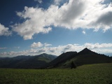 WLDF0710.JPG