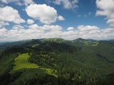 WLDF0718.JPG