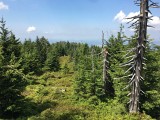 IMG_7200.JPG