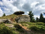 IMG_7212.JPG