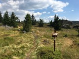 IMG_7214.JPG